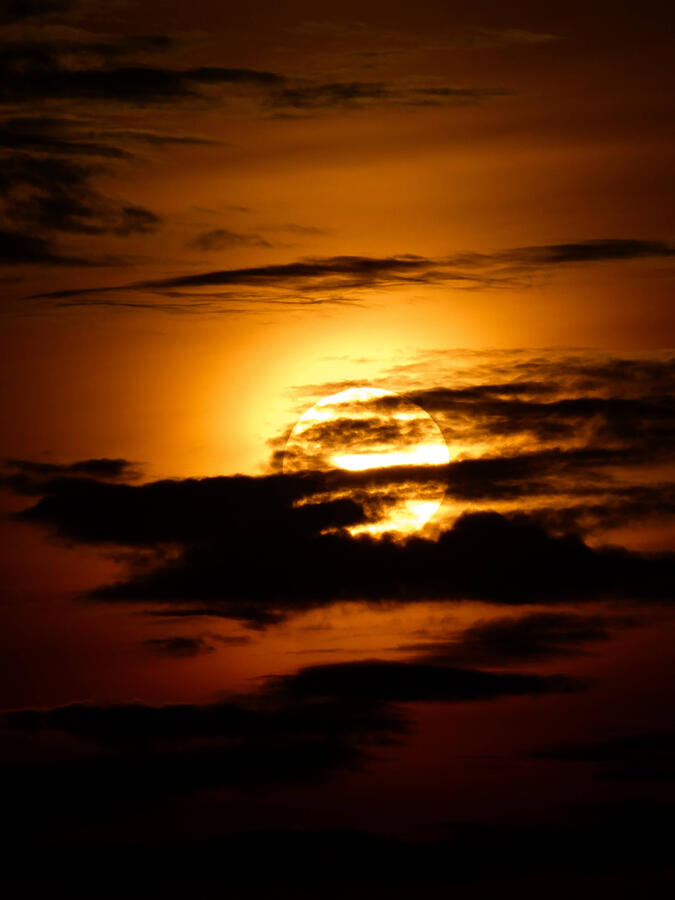 Sunlight