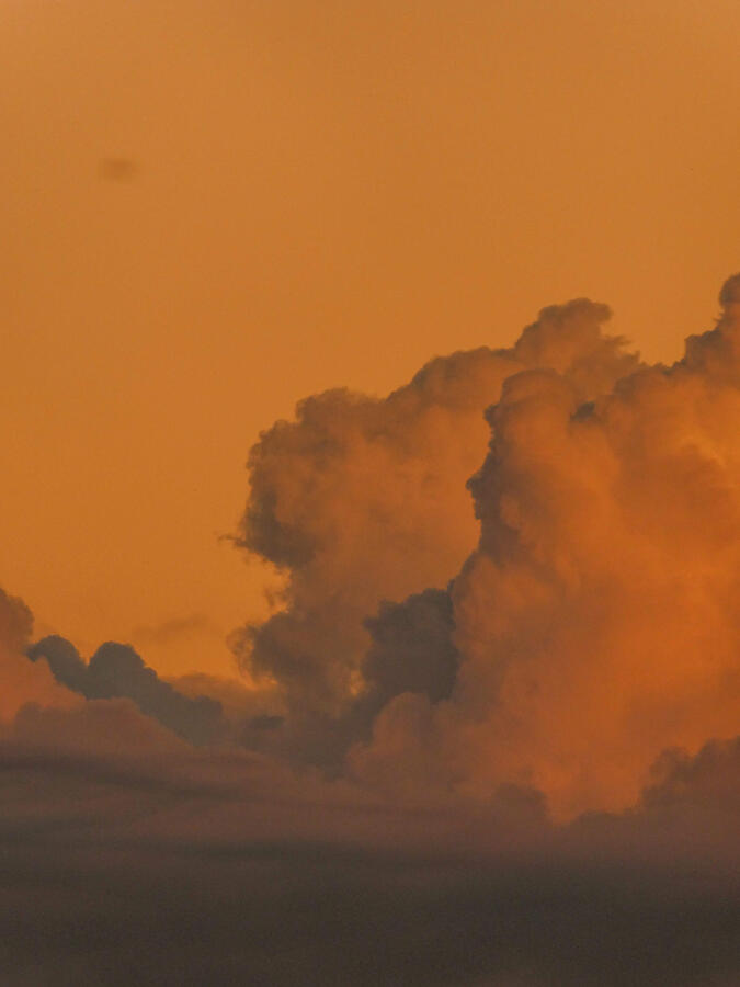 Cotton candy